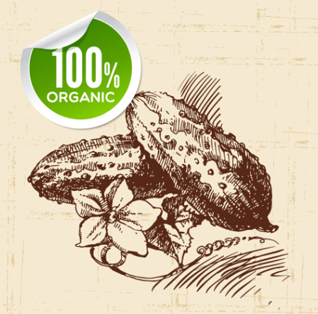 die Hand gezeichnete Gemüse mit organischen Aufkleber Vektor