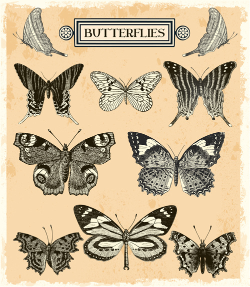 руки drawn набор векторов ретро бабочек