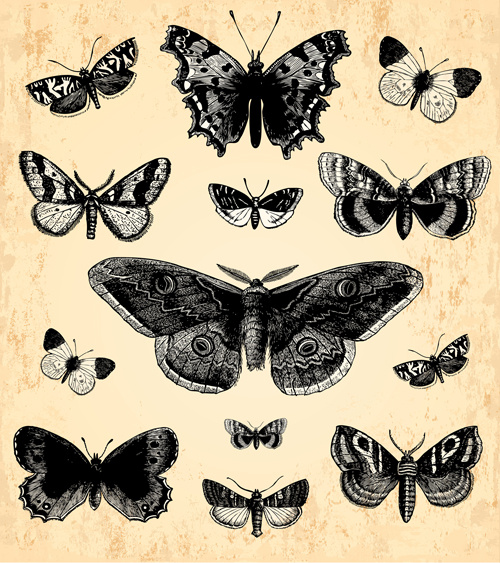 ręcznie rysowane vintage motyle wektory zestaw