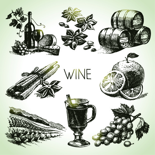 handgezeichnete Wein Design Vektor-icons
