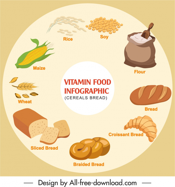bandera infográfica de alimentos saludables diseño de círculo de colores brillantes