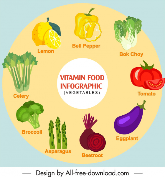 saudável vegetais infográfico pôster colorido flat handdrawn esboço