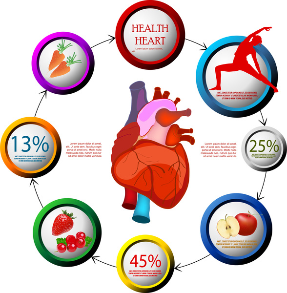 Herz Gesundheit Förderung Plakat Illustration mit Zyklus Kreise