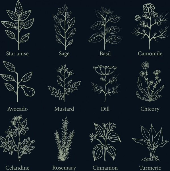 herb icone raccolta piana oscuro disegno vari tipi