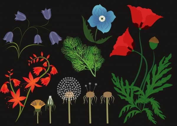 icônes à base de plantes de fond divers décoration flore multicolore