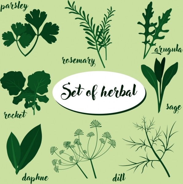 herbal ikon set berbagai jenis hijau
