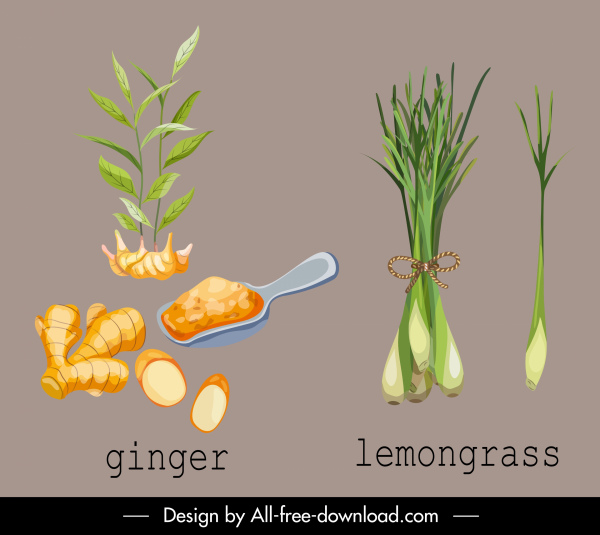 травяные растения иконы имбирь лемонграсс эскиз
