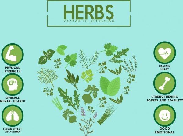 herbal promosi banner organ ikon berbagai tanaman dekorasi