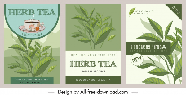 té de hierbas publicidad fondo clásico decoración dibujada a mano
