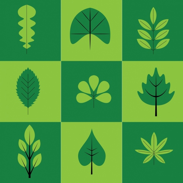 Kräuter die Symbolsammlung grüne Blätter Arten isoliert