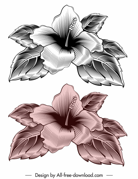 ícone hibisco flora elegante esboço retrô