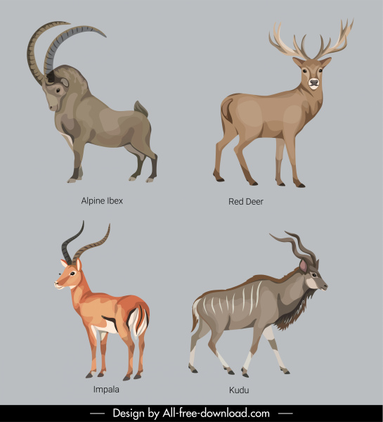 casco animais espécie ícones de animais com chifres esboço animais