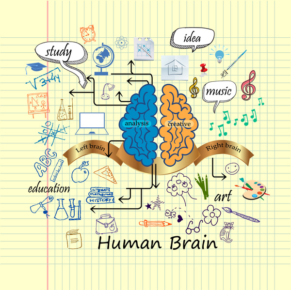 design de infográfico do cérebro humano com mão desenhada estilo