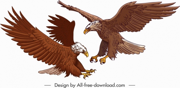 caza águila pintura color bosquejo de historieta