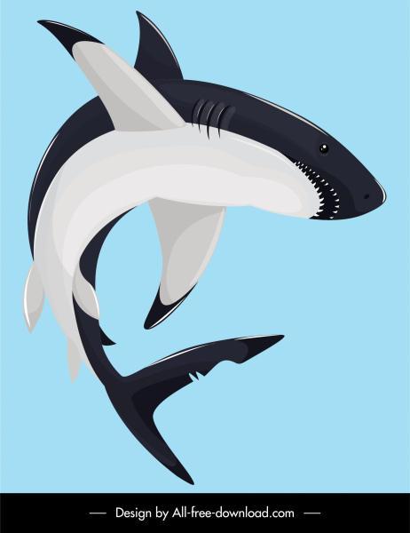 狩獵鯊魚畫彩色卡通素描