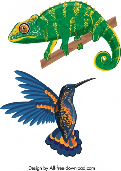 design moderno colorido pássaro Iguana de ícones