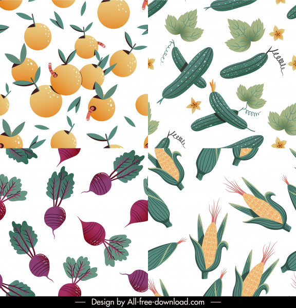 성분 패턴 템플릿 오렌지 루파 사탕무 옥수수 스케치