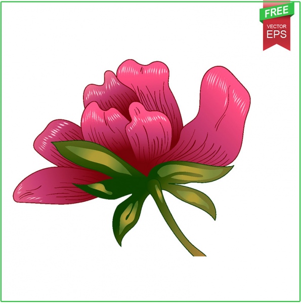 tinta vektor merah Peony free download bunga botani bunga liar sprin