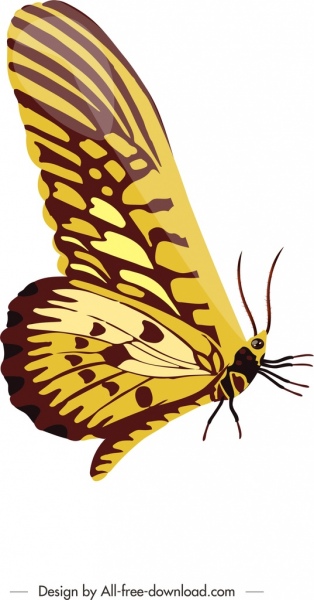 Insekt Schmetterling Symbol glänzend bunten Closeup Hintergrunddesign