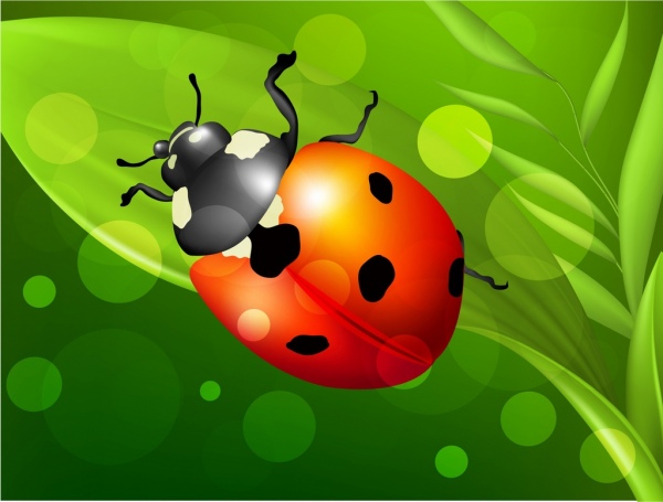 icône de la décoration multicolore insecte contexte coccinelle