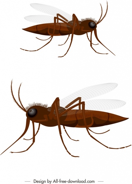 latar belakang serangga nyamuk ikon 3d cokelat desain