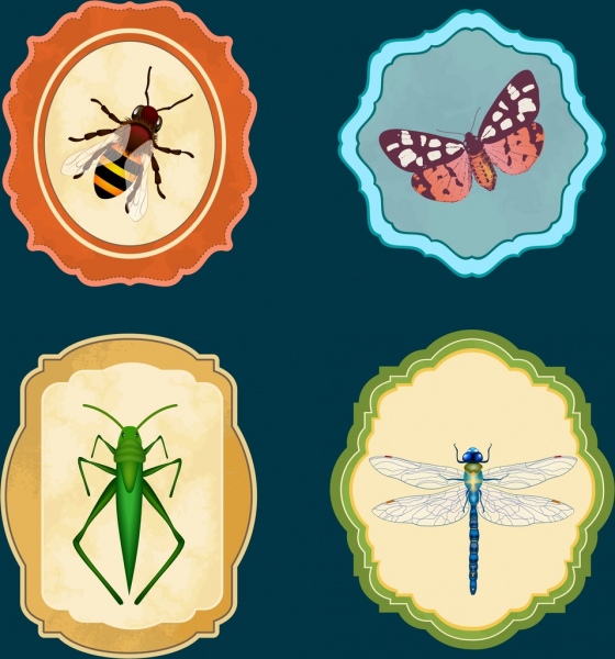 Insekt Symbole Sammlung Biene Schmetterling Grasshoper Libelle Symbole