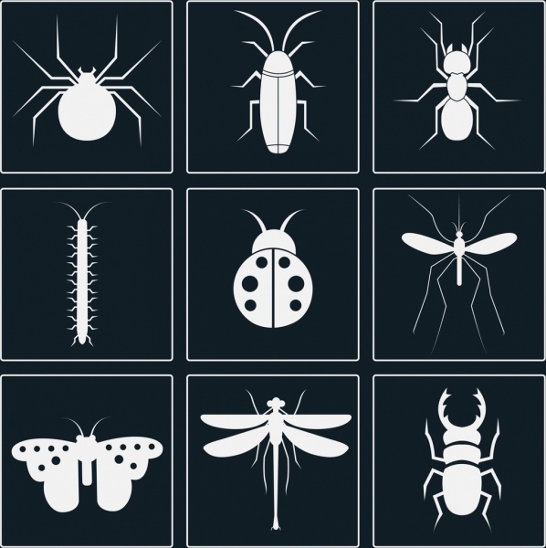 silhuetas de moda branca do inseto ícones projetar vários tipos