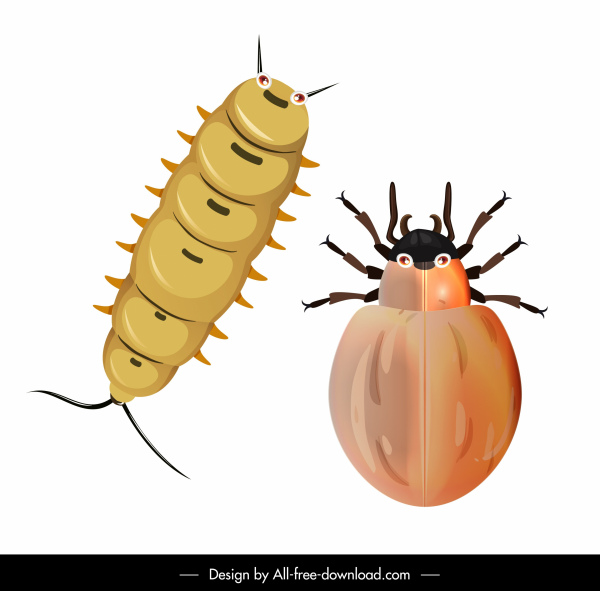 insecte icônes ver scarabée croquis couleur gros plan Design