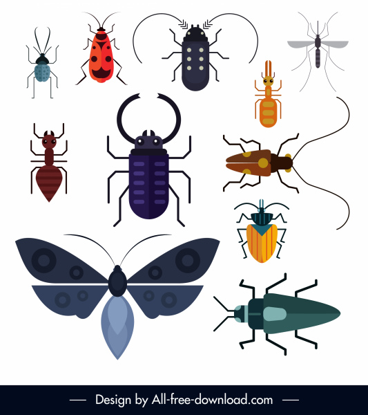 Insektenarten Symbole farbig flaches design