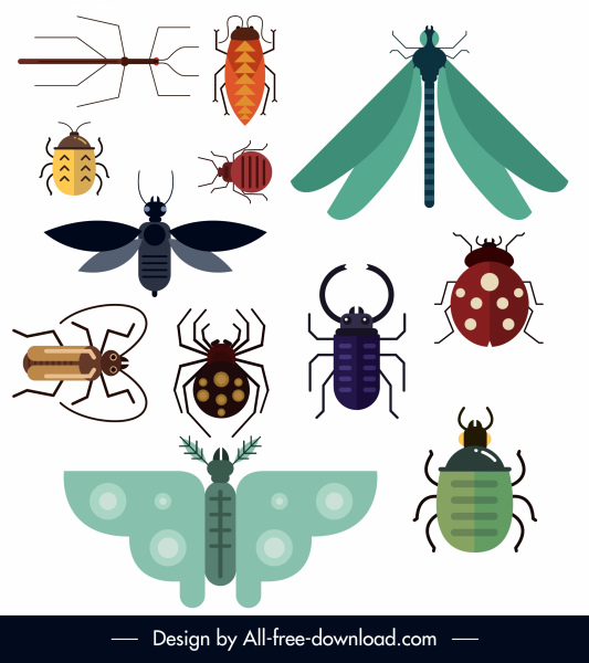 biểu tượng loài côn trùng thiết kế phẳng đầy màu sắc