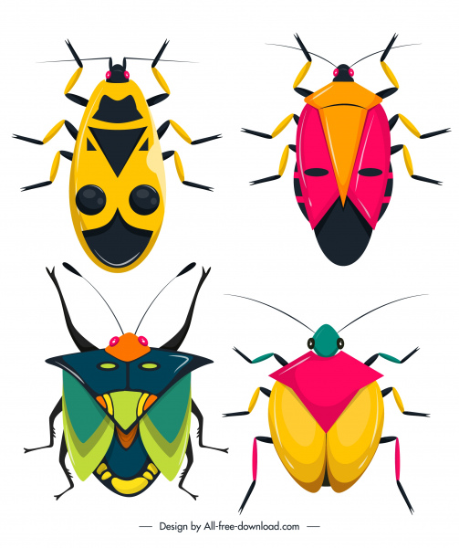 insecta insectos especies iconos coloridos bosquejo plano