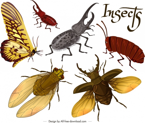 serangga latar belakang bug kupu-kupu terbang ikon 3d dekorasi