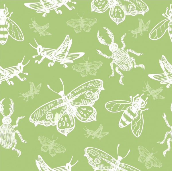 昆虫的背景重复素描的各种类型装饰