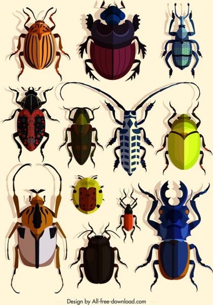 insetos design elementos bugs espécies ícones coloridos design