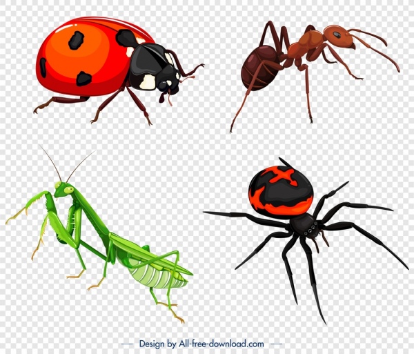 ícones de insetos joaninha formiga aranha gafanhoto