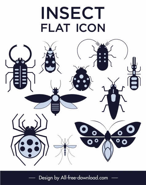 insectos especies iconos blanco negro bosquejo plano