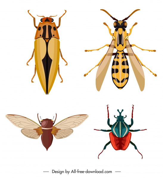 Skizzieren Sie Insekten Arten Symbole Schabe Ameise Käfer Biene