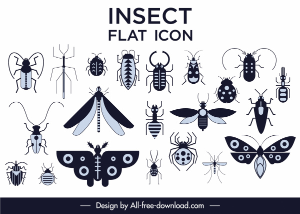 insetos espécies ícones coleção preto branco liso esboço