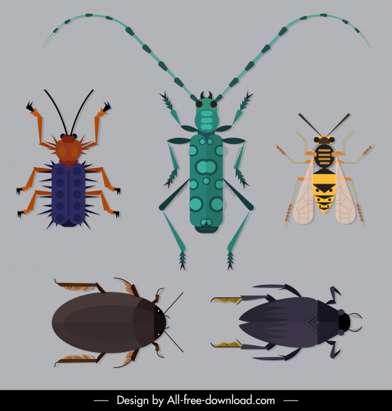 insectos especies iconos de boceto plano de color