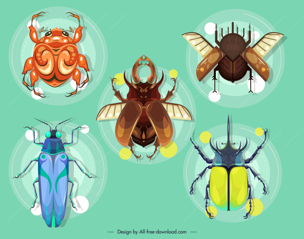 insectes, espèces, icônes, coloré, design moderne