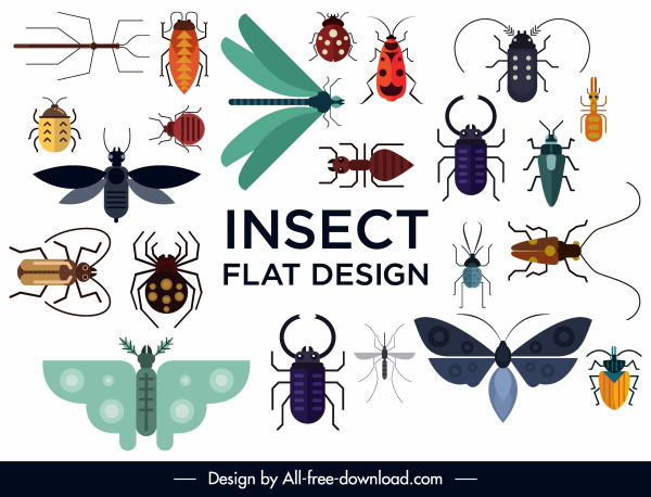 昆蟲物種圖示五顏六色的平面素描