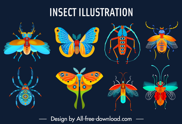 insectos especies iconos colorido bosquejo plano