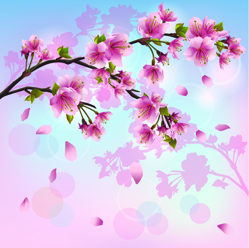 japan kirschblüten kostenlose vektor -2