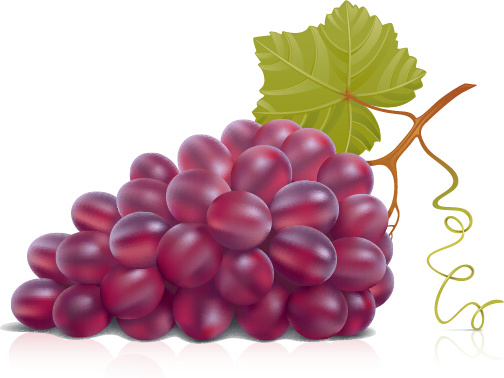 jugosas uvas frescas diseño vector set 2
