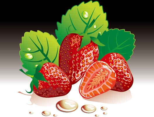 vecteur d’ensemble de fraises fraîches juteuses