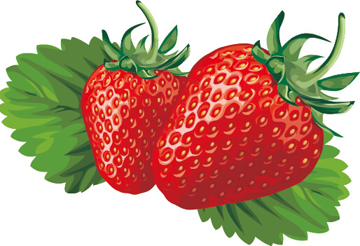 Juicy Fresh Strawberries Set Vector 2