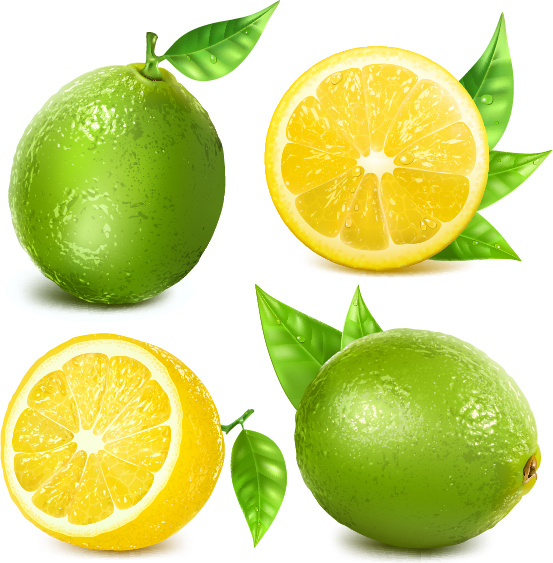 vecteur créatif citron juteux 2