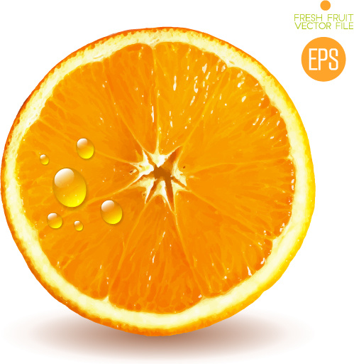 slice jugosas naranjas vector set