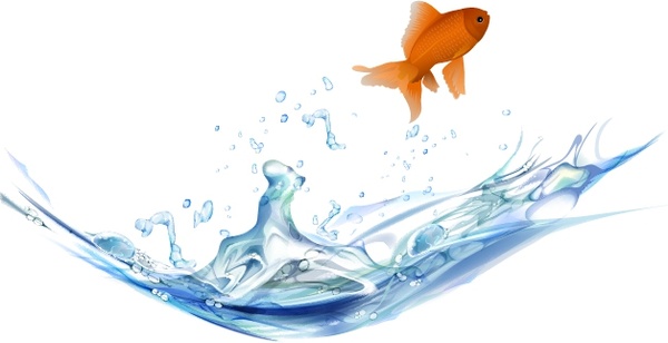 Jumping goldfish tło spryskane wodą ikona nowoczesny design