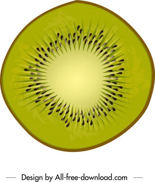 biểu tượng Kiwi closeup phẳng xanh slice thiết kế